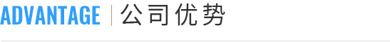 公司优势